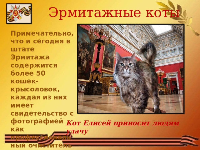 Эрмитажные коты Примечательно, что и сегодня в штате Эрмитажа содержится более 50 кошек-крысоловок, каждая из них имеет свидетельство с фотографией как профессиональный очиститель музейных подвалов от крыс Кот Елисей приносит людям удачу 