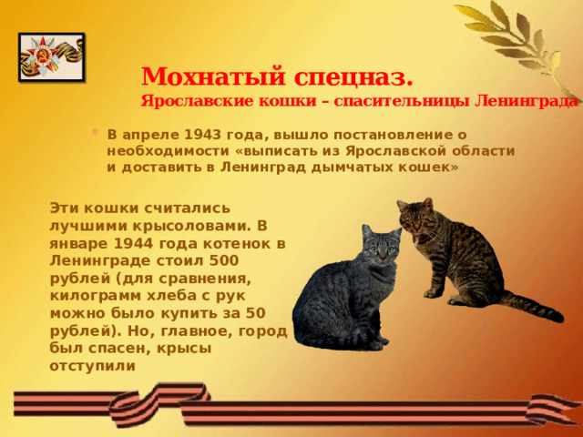 Мохнатый спецназ.  Ярославские кошки – спасительницы Ленинграда В апреле 1943 года, вышло постановление о необходимости «выписать из Ярославской области и доставить в Ленинград дымчатых кошек» Эти кошки считались лучшими крысоловами. В январе 1944 года котенок в Ленинграде стоил 500 рублей (для сравнения, килограмм хлеба с рук можно было купить за 50 рублей). Но, главное, город был спасен, крысы отступили 