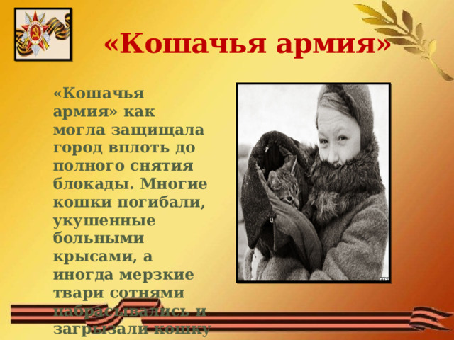 «Кошачья армия» «Кошачья армия» как могла защищала город вплоть до полного снятия блокады. Многие кошки погибали, укушенные больными крысами, а иногда мерзкие твари сотнями набрасывались и загрызали кошку   