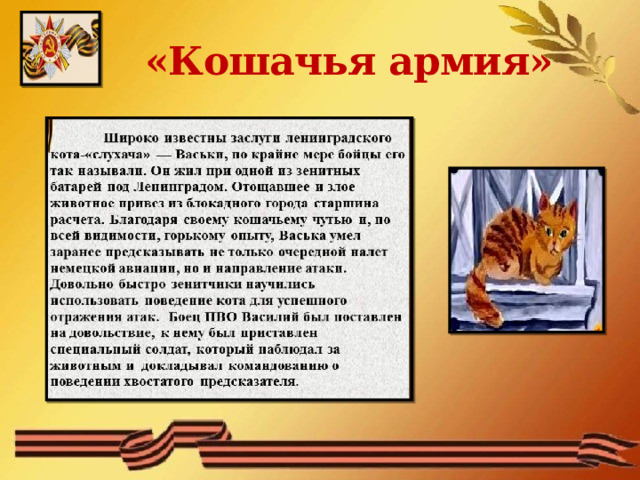 «Кошачья армия» 