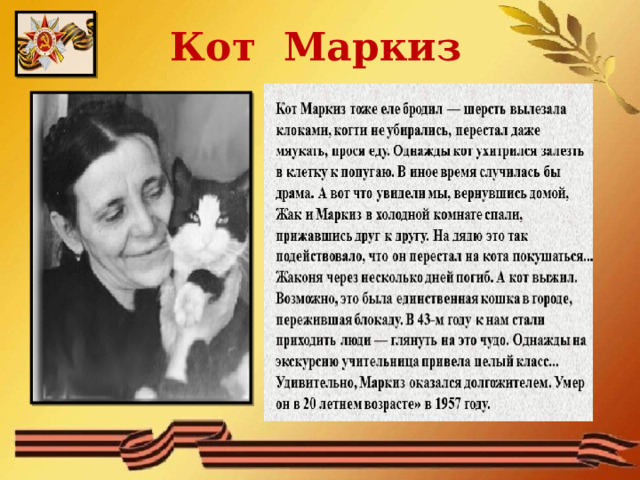 Кот Маркиз  