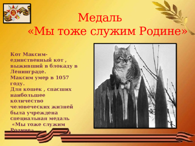  Медаль  «Мы тоже служим Родине» Кот Максим-единственный кот , выживший в блокаду в Ленинграде. Максим умер в 1057 году. Для кошек , спасших наибольшее количество человеческих жизней была учреждена специальная медаль  «Мы тоже служим Родине»  