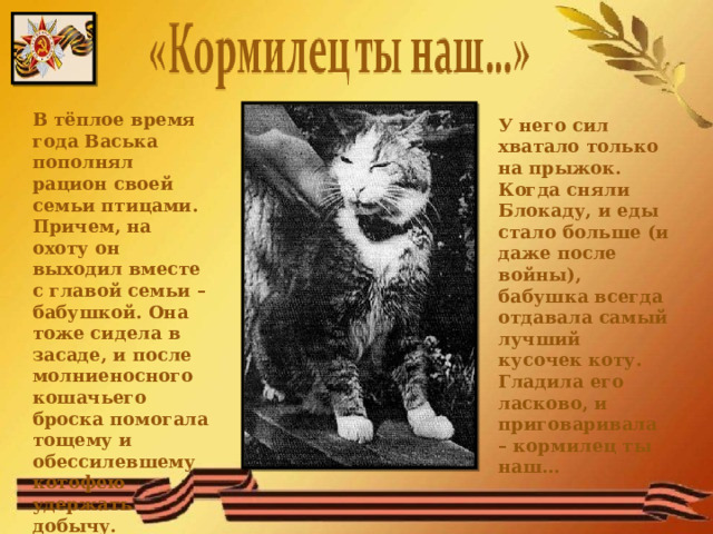 В тёплое время года Васька пополнял рацион своей семьи птицами. Причем, на охоту он выходил вместе с главой семьи – бабушкой. Она тоже сидела в засаде, и после молниеносного кошачьего броска помогала тощему и обессилевшему котофею удержать добычу. У него сил хватало только на прыжок. Когда сняли Блокаду, и еды стало больше (и даже после войны), бабушка всегда отдавала самый лучший кусочек коту. Гладила его ласково, и приговаривала – кормилец ты наш…  