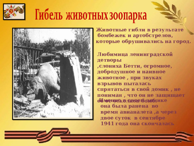 Животные гибли в результате  бомбежек и артобстрелов, которые обрушивались на город. Любимица ленинградской детворы ,слониха Бетти, огромное, добродушное и наивное животное , при звуках взрывов пыталась спрятаться в свой домик , не понимая , что он не защищает ее от осколков бомб. Именно в своем домике  она была ранена во  время авианалета ,а через  двое суток в сентябре  1941 года она скончалась  