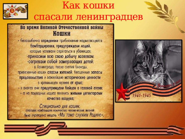  Как кошки  спасали ленинградцев 