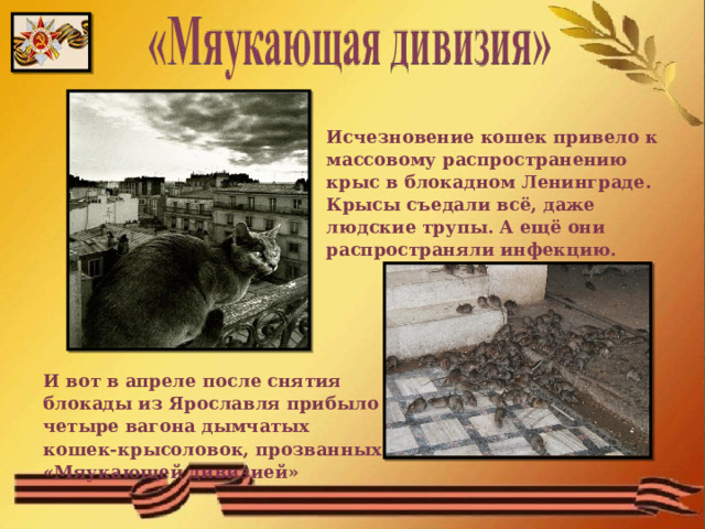 Исчезновение кошек привело к массовому распространению крыс в блокадном Ленинграде. Крысы съедали всё, даже людские трупы. А ещё они распространяли инфекцию. И вот в апреле после снятия блокады из Ярославля прибыло четыре вагона дымчатых кошек-крысоловок, прозванных «Мяукающей дивизией» 