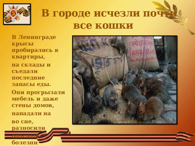В городе исчезли почти  все кошки В Ленинграде крысы пробирались в квартиры, на склады и съедали последние запасы еды. Они прогрызали мебель и даже стены домов, нападали на во сне, разносили опасные болезни 