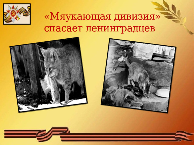 «Мяукающая дивизия»  спасает ленинградцев  