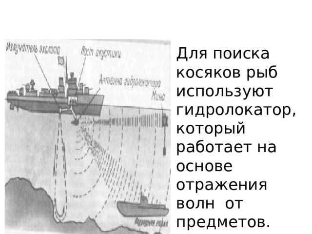  Радиолокация. Для поиска косяков рыб используют гидролокатор, который работает на основе отражения волн от предметов. Сигнал поступает на экран осциллографа. 