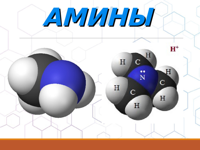 АМИНЫ АМИНЫ 