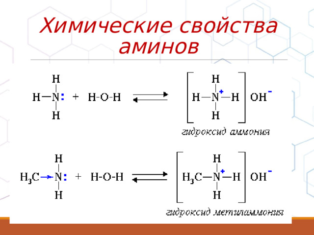 Химические свойства аминов 
