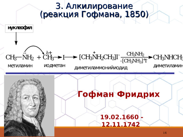 3. Алкилирование  (реакция Гофмана, 1850) Гофман Фридрих 19.02.1660 - 12.11.1742    