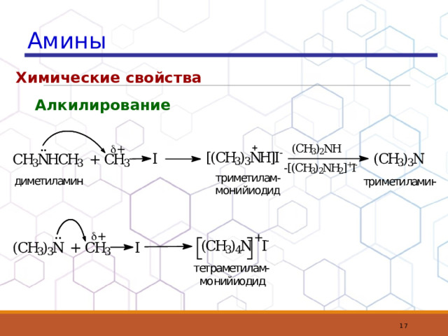 Амины Химические свойства Алкилирование  