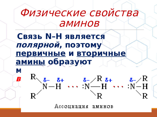 Физические свойства аминов  Связь N–H является полярной , поэтому первичные и вторичные амины образуют межмолекулярные водородные связи :  