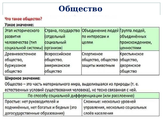 Общество 