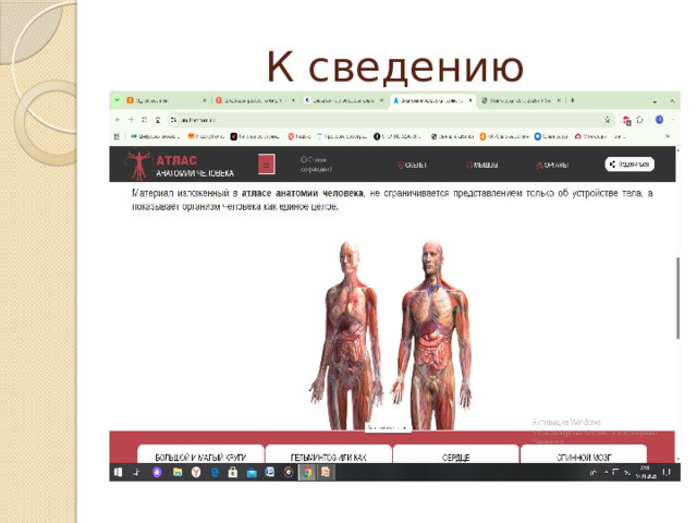 К сведению 
