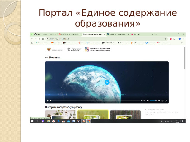 Портал «Единое содержание образования» 