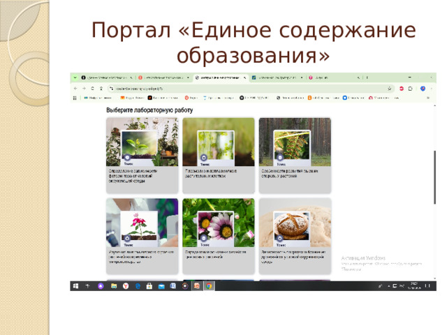 Портал «Единое содержание образования» 