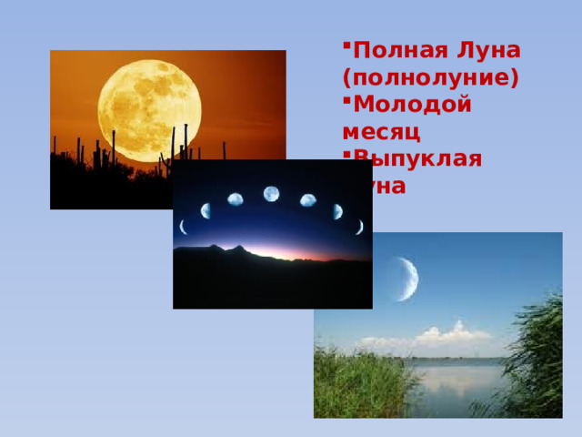Полная Луна (полнолуние) Молодой месяц Выпуклая Луна 
