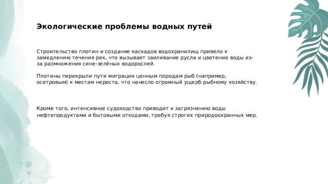  Экологические проблемы водных путей Строительство плотин и создание каскадов водохранилищ привело к замедлению течения рек, что вызывает заиливание русла и цветение воды из-за размножения сине-зелёных водорослей. Плотины перекрыли пути миграции ценным породам рыб (например, осетровым) к местам нереста, что нанесло огромный ущерб рыбному хозяйству. Кроме того, интенсивное судоходство приводит к загрязнению воды нефтепродуктами и бытовыми отходами, требуя строгих природоохранных мер. 