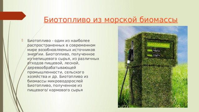Биотопливо из морской биомассы Биотопливо - один из наиболее распространенных в современном мире возобновляемых источников энергии. Биотопливо, полученное из непищевого сырья, из различных отходов пищевой, лесной, деревообрабатывающей промышленности, сельского хозяйства и др. Биотопливо из биомассы микроводорослей Биотопливо, полученное из пищевого/ кормового сырья 
