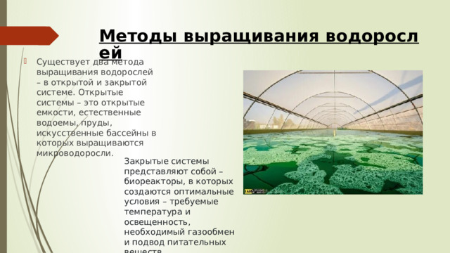 Методы выращивания водорослей   Существует два метода выращивания водорослей – в открытой и закрытой системе. Открытые системы – это открытые емкости, естественные водоемы, пруды, искусственные бассейны в которых выращиваются микроводоросли. Закрытые системы представляют собой – биореакторы, в которых создаются оптимальные условия – требуемые температура и освещенность, необходимый газообмен и подвод питательных веществ. 