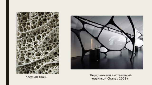 Передвижной выставочный павильон Chanel, 2008 г. Костная ткань 