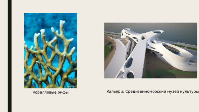 Кальяри: Средиземноморский музей культуры Коралловые рифы 