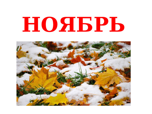НОЯБРЬ 
