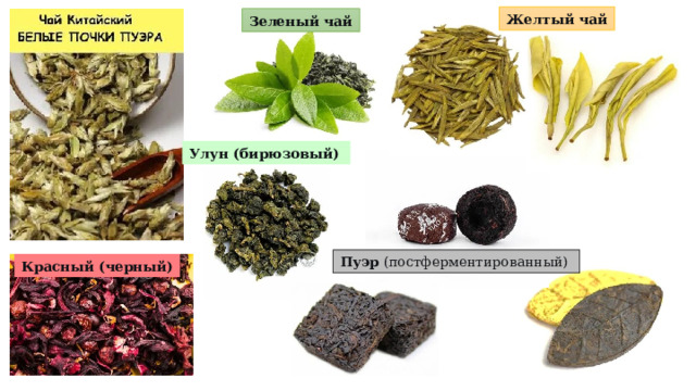Желтый чай Зеленый чай Улун (бирюзовый)   Пуэр  (постферментированный) Красный (черный) 