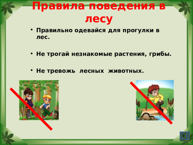 Правила поведения в лесу Правильно одевайся для прогулки в лес.  Не трогай незнакомые растения, грибы.  Не тревожь лесных животных.  