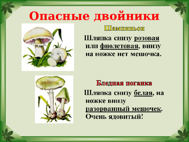 Опасные двойники 