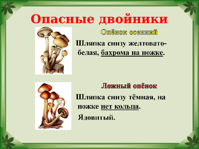 Опасные двойники 