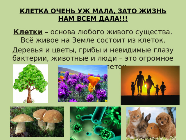 КЛЕТКА ОЧЕНЬ УЖ МАЛА, ЗАТО ЖИЗНЬ НАМ ВСЕМ ДАЛА!!!   Клетки – основа любого живого существа. Всё живое на Земле состоит из клеток. Деревья и цветы, грибы и невидимые глазу бактерии, животные и люди – это огромное количество клеток. 