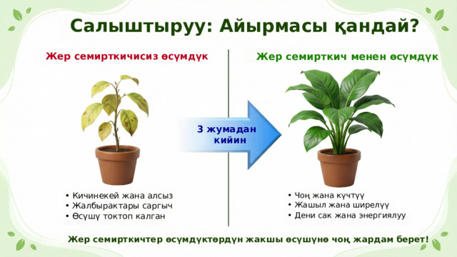  Салыштыруу: Айырмасы қандай? Жер семирткичисиз өсүмдүк Жер семирткич менен өсүмдүк 3 жумадан кийин • Кичинекей жана алсыз • Чоң жана күчтүү • Жалбырактары саргыч • Жашыл жана ширелүү • Өсүшү токтоп калган • Дени сак жана энергиялуу Жер семирткичтер өсүмдүктөрдүн жакшы өсүшүнө чоң жардам берет! 