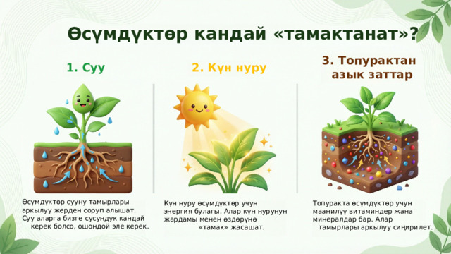  Өсүмдүктөр кандай «тамактанат»? 3. Топурактан азык заттар 1. Суу 2. Күн нуру Өсүмдүктөр сууну тамырлары аркылуу жерден соруп алышат. Суу аларга бизге сусундук кандай керек болсо, ошондой эле керек. Күн нуру өсүмдүктөр учун Топуракта өсүмдүктөр учун энергия булагы. Алар күн нурунун маанилүү витаминдер жана жардамы менен өздөрүнө минералдар бар. Алар «тамак» жасашат. тамырлары аркылуу сиңирилет. 