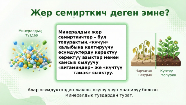  Жер семирткич деген эмне? Минералдық туздар Минералдык жер семирткичтер – бул топурактың «күчүн» калыбына келтируүчү өсүмдүктөрдү керектүү керектүү азыктар менен камсыз кылуучу «витаминдер» же «күчтүү тамак» сыяктуу. Чарчаган Күчтүү топурак топурак Алар өсүмдүктөрдүн жакшы өсүшү үчүн маанилүү болгон минералдык туздардан турат. 