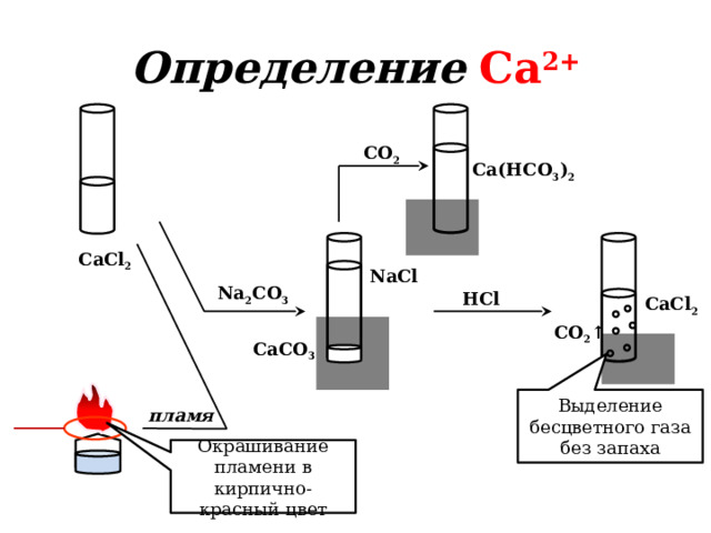 Определение  Ca 2+ CO 2 Ca(HCO 3 ) 2  CaCl 2 NaCl Na 2 CO 3 HCl CaCl 2 CO 2 ↑ CaCO 3 Выделение бесцветного газа без запаха пламя Окрашивание пламени в кирпично-красный цвет 