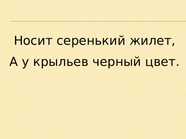 Носит серенький жилет, А у крыльев черный цвет. 