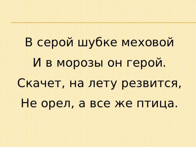 В серой шубке меховой И в морозы он герой. Скачет, на лету резвится, Не орел, а все же птица. 