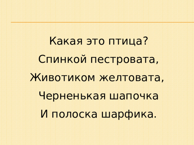 Какая это птица? Спинкой пестровата, Животиком желтовата, Черненькая шапочка И полоска шарфика. 