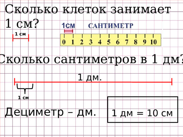 Сколько клеток занимает 1 см? 1 см Сколько сантиметров в 1 дм? 1 дм. 1 см Дециметр – дм. 1 дм = 10 см 