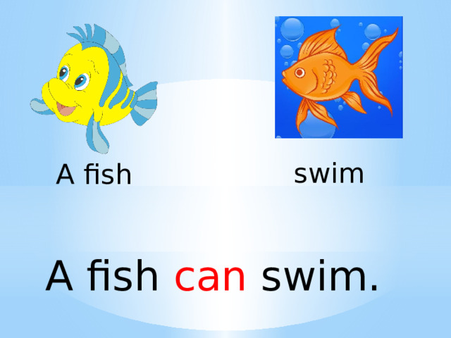 swim A fish A fish can swim. 