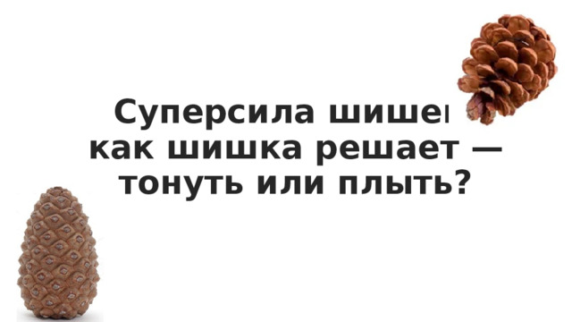 Суперсила шишек: как шишка решает — тонуть или плыть? 
