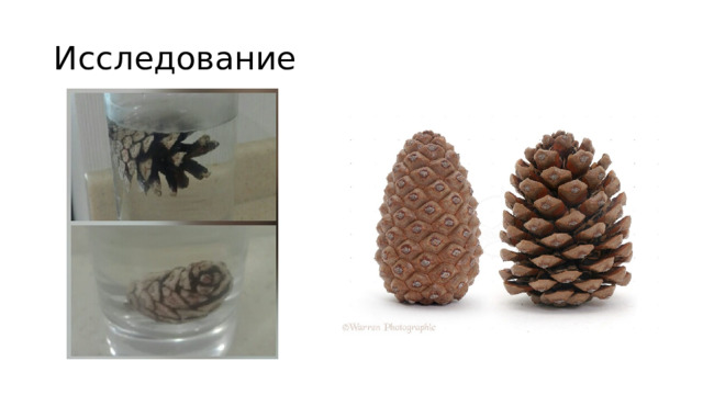 Исследование 