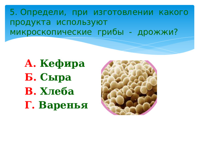 5. Определи, при изготовлении какого продукта используют микроскопические грибы - дрожжи? А. Кефира Б. Сыра В. Хлеба Г. Варенья 
