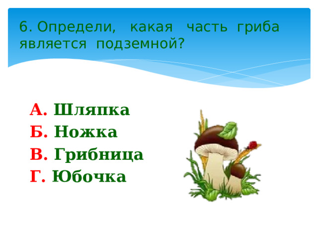 6. Определи, какая часть гриба является подземной? А. Шляпка Б. Ножка В. Грибница Г. Юбочка 