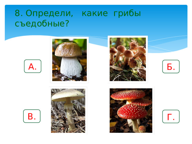 8. Определи, какие грибы съедобные? А. Б. В. Г. 