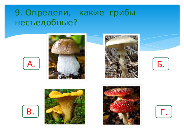 9. Определи, какие грибы несъедобные? А. Б. В. Г. 