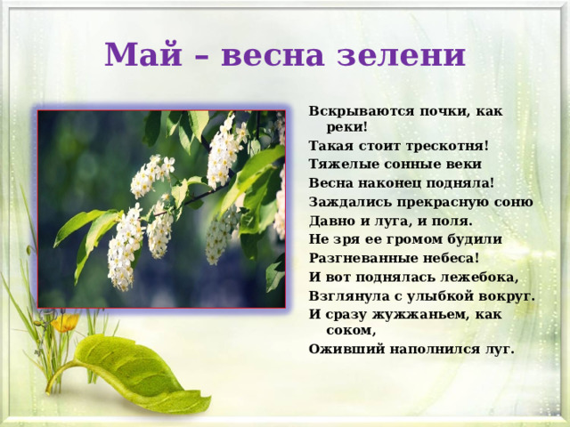 Май – весна зелени Вскрываются почки, как реки! Такая стоит трескотня! Тяжелые сонные веки Весна наконец подняла! Заждались прекрасную соню Давно и луга, и поля. Не зря ее громом будили Разгневанные небеса! И вот поднялась лежебока, Взглянула с улыбкой вокруг. И сразу жужжаньем, как соком, Оживший наполнился луг.  